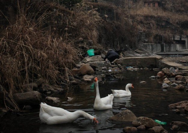۰ıֻ氲װ